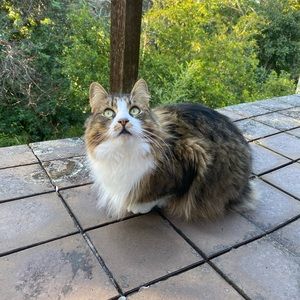 Meet your Posher, Alexandra